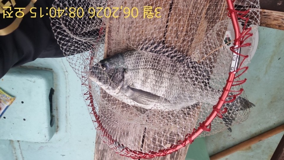 ����ڰ� �ø� �̹���