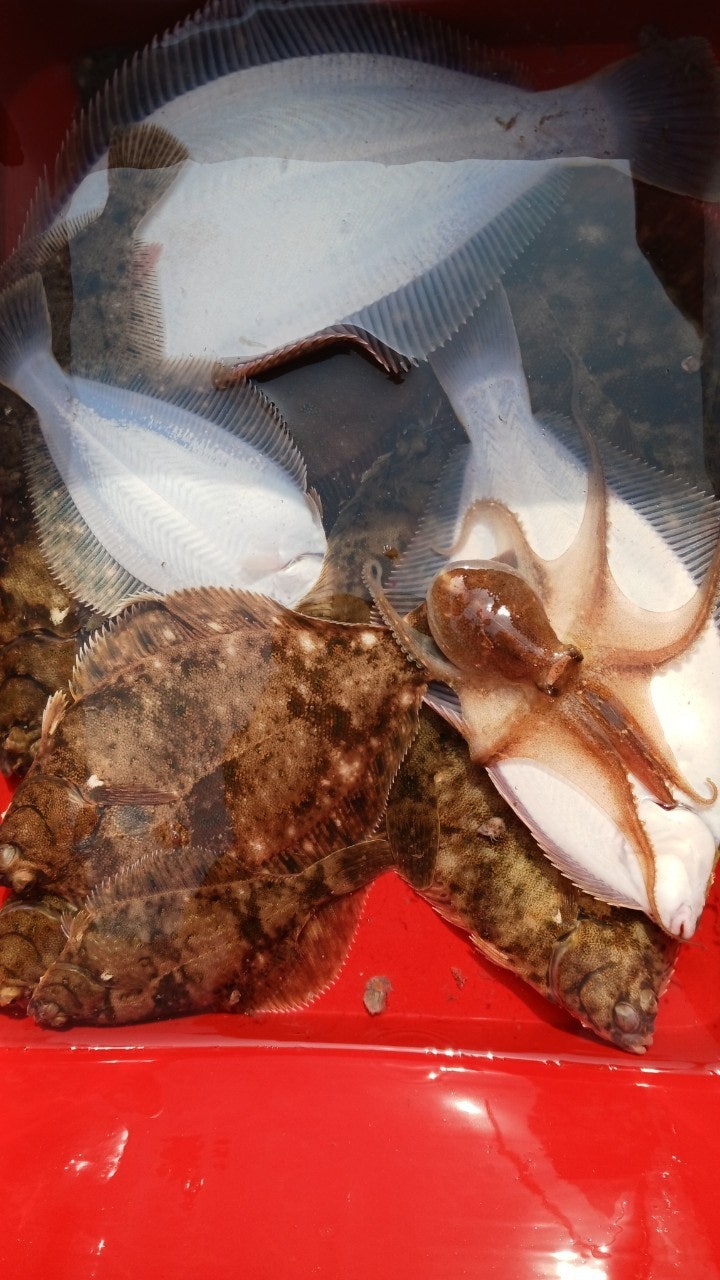 ����ڰ� �ø� �̹���