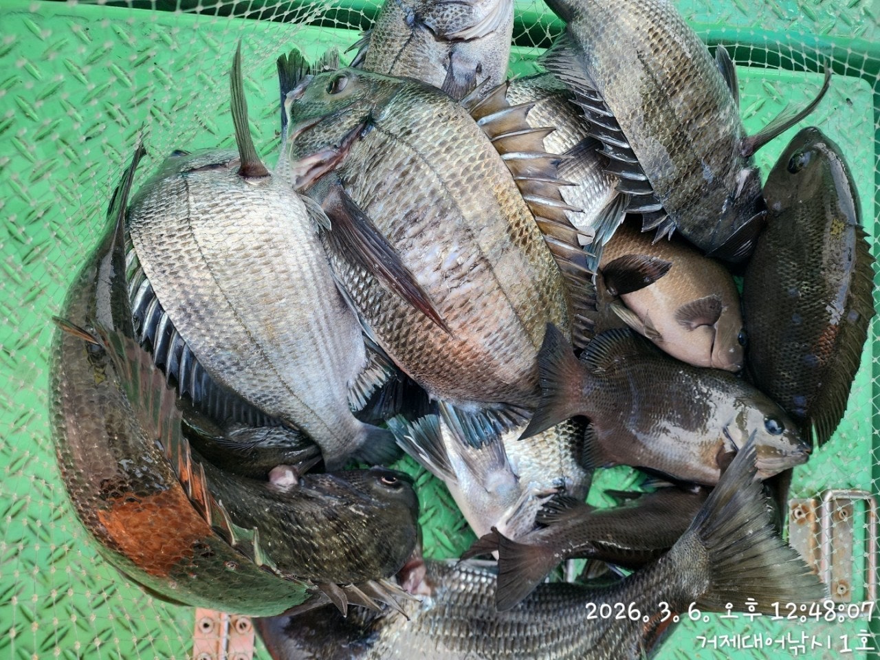 ����ڰ� �ø� �̹���