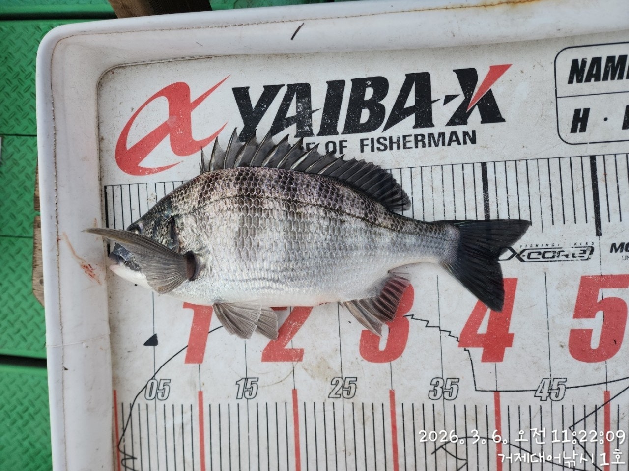 ����ڰ� �ø� �̹���