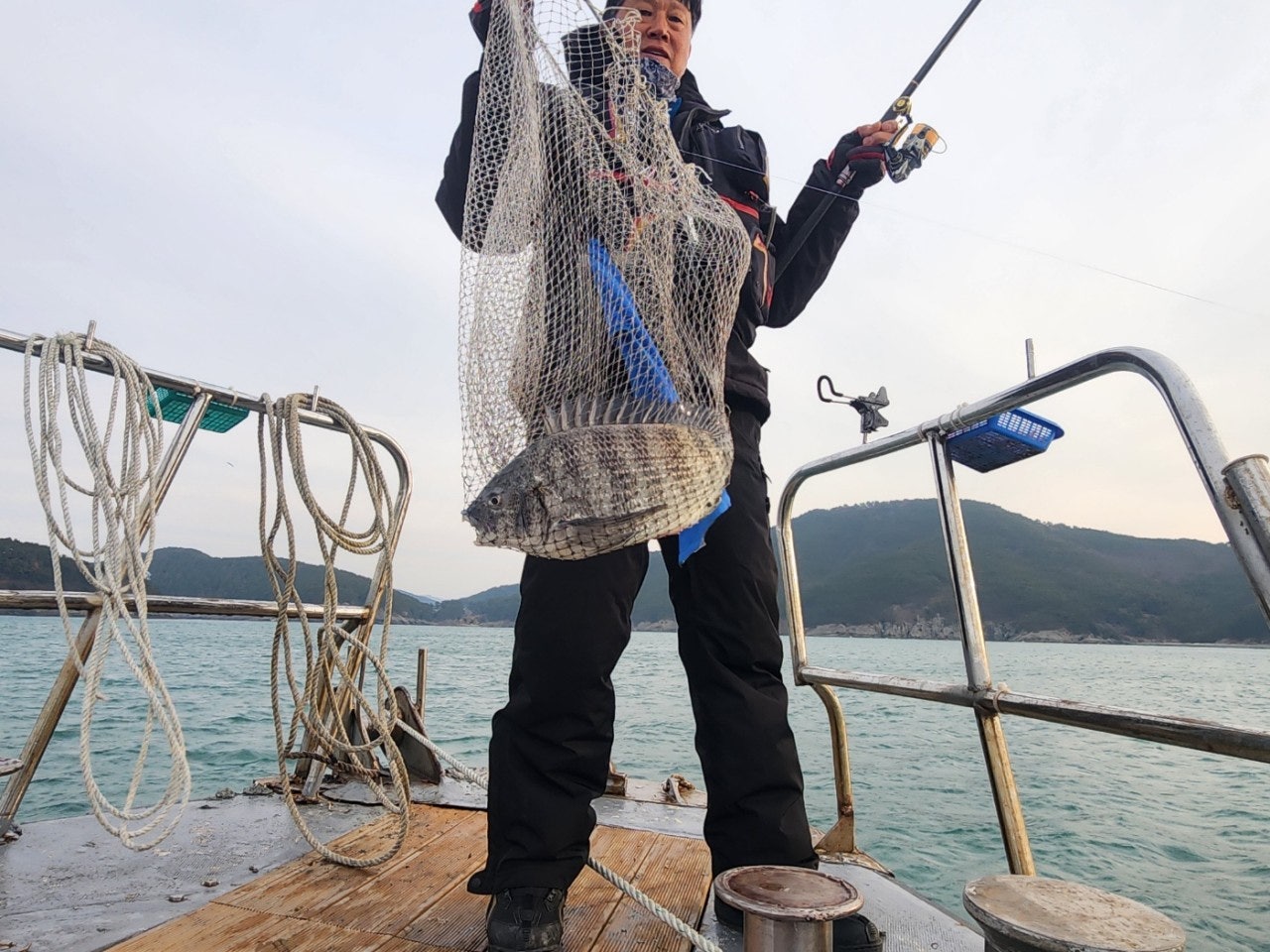 ����ڰ� �ø� �̹���