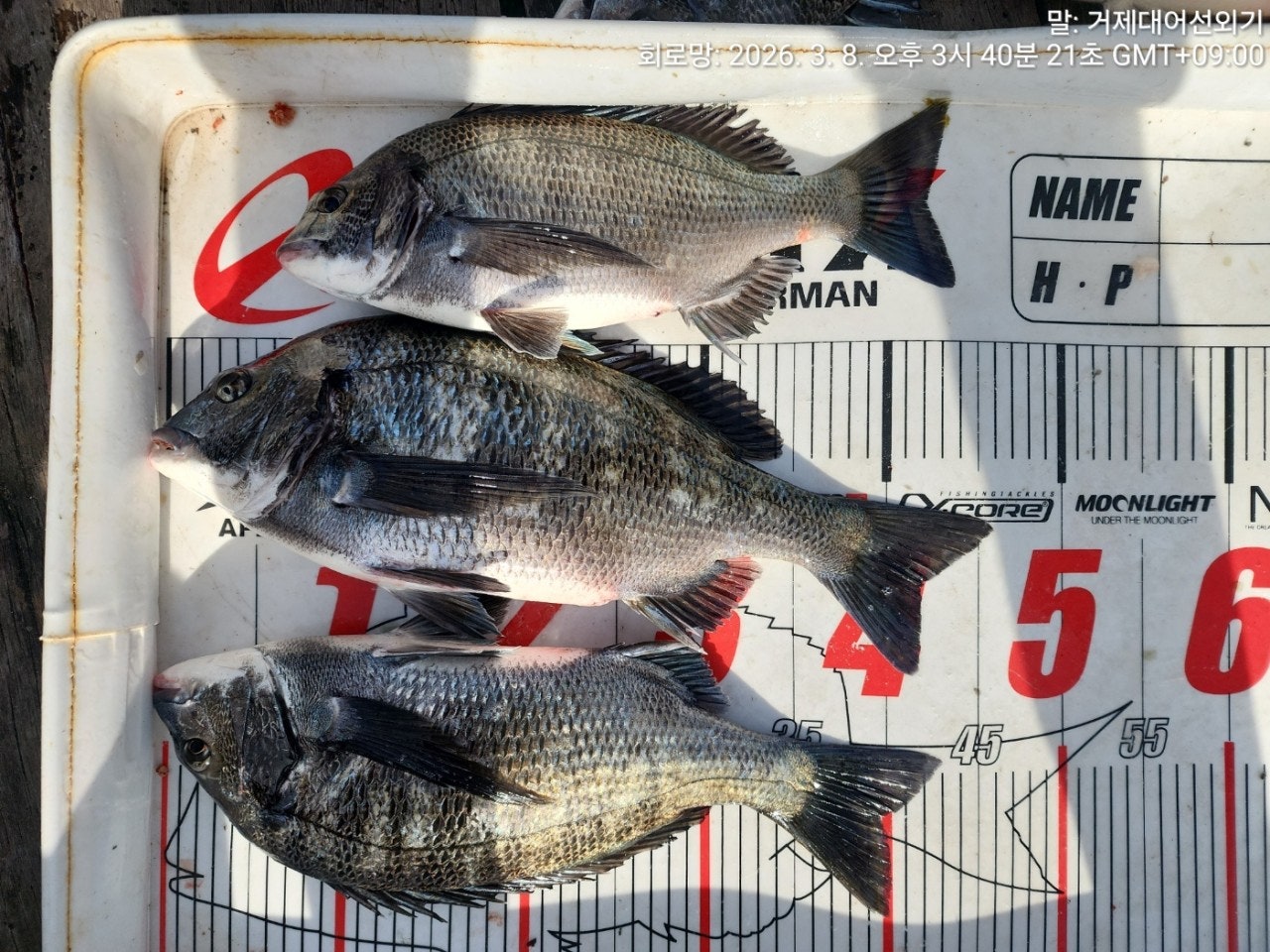 ����ڰ� �ø� �̹���