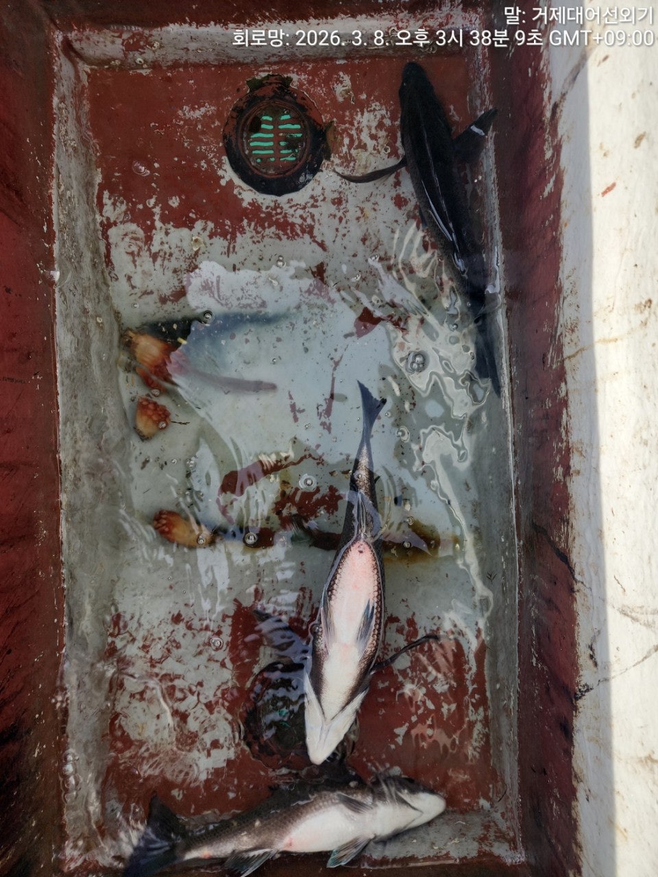 ����ڰ� �ø� �̹���