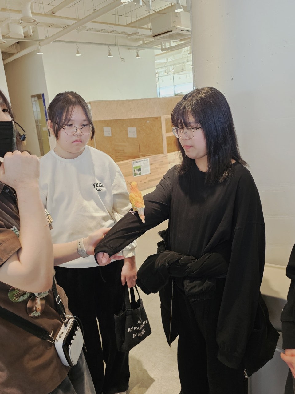 사용자가 올린 이미지