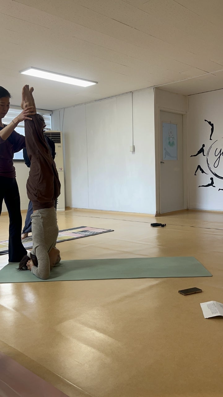 ����ڰ� �ø� �̹���