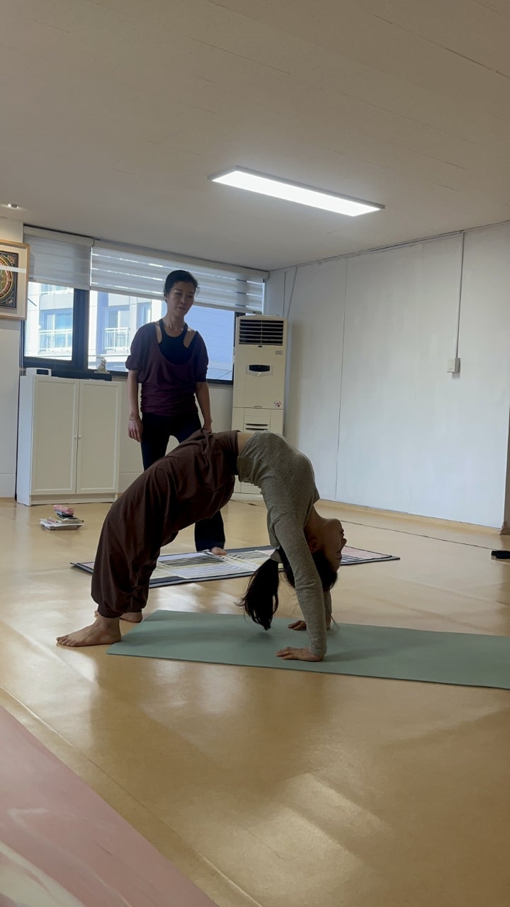 ����ڰ� �ø� �̹���