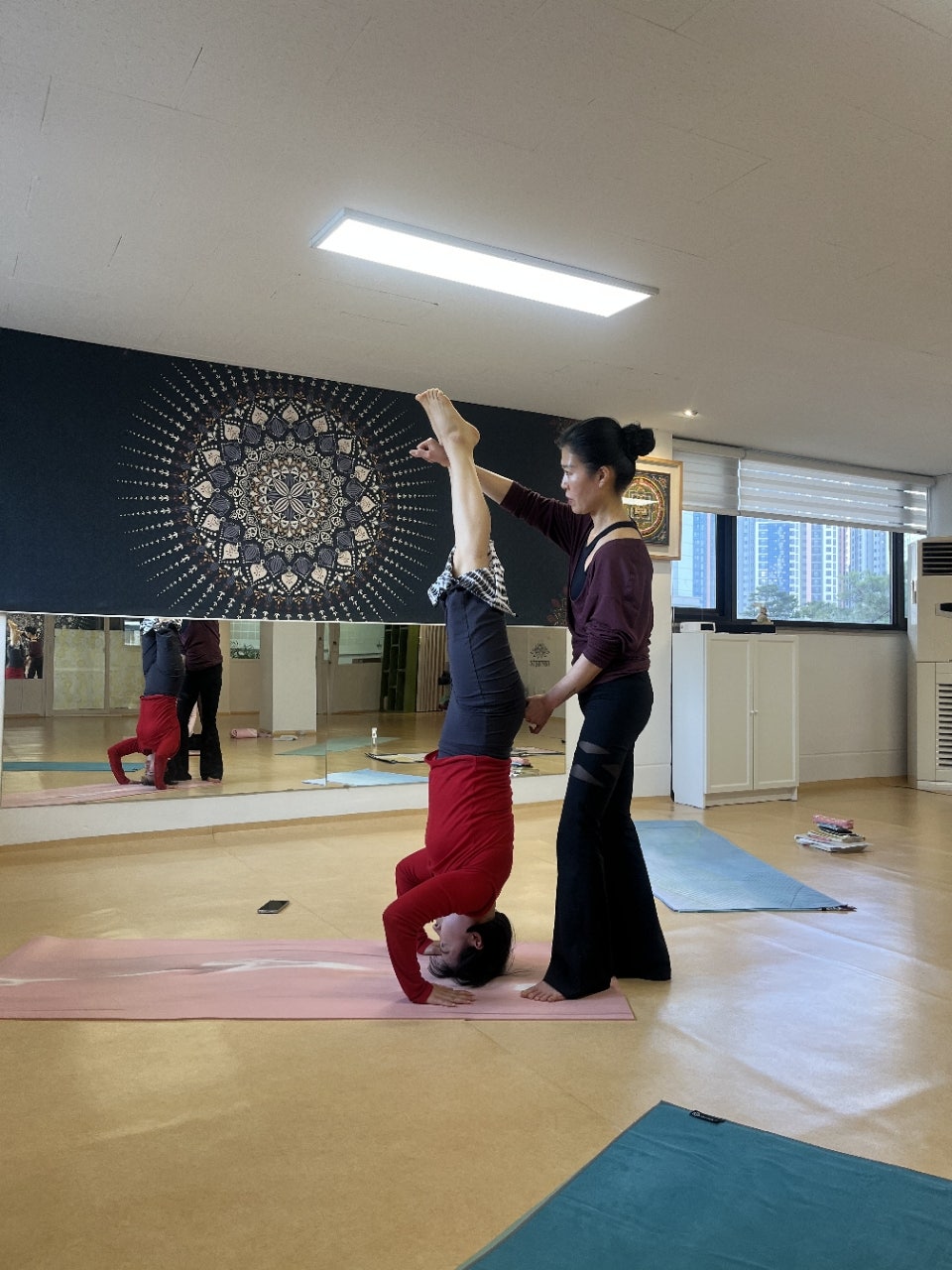 ����ڰ� �ø� �̹���