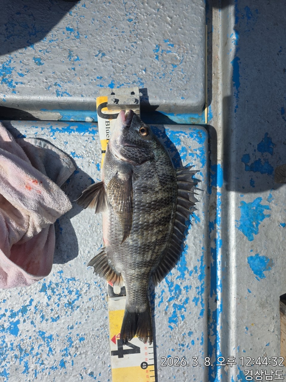 ����ڰ� �ø� �̹���