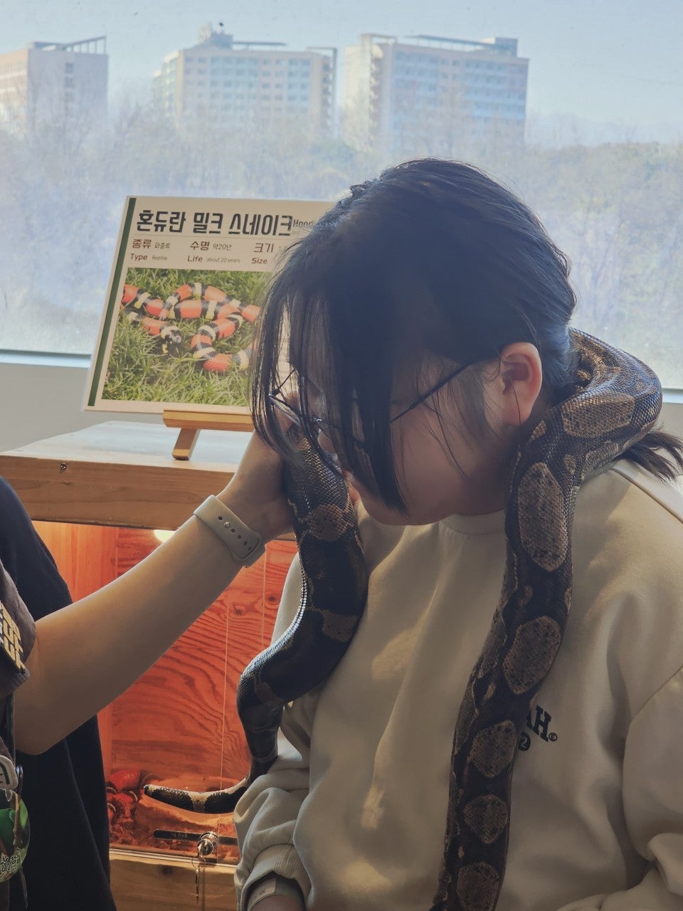 사용자가 올린 이미지