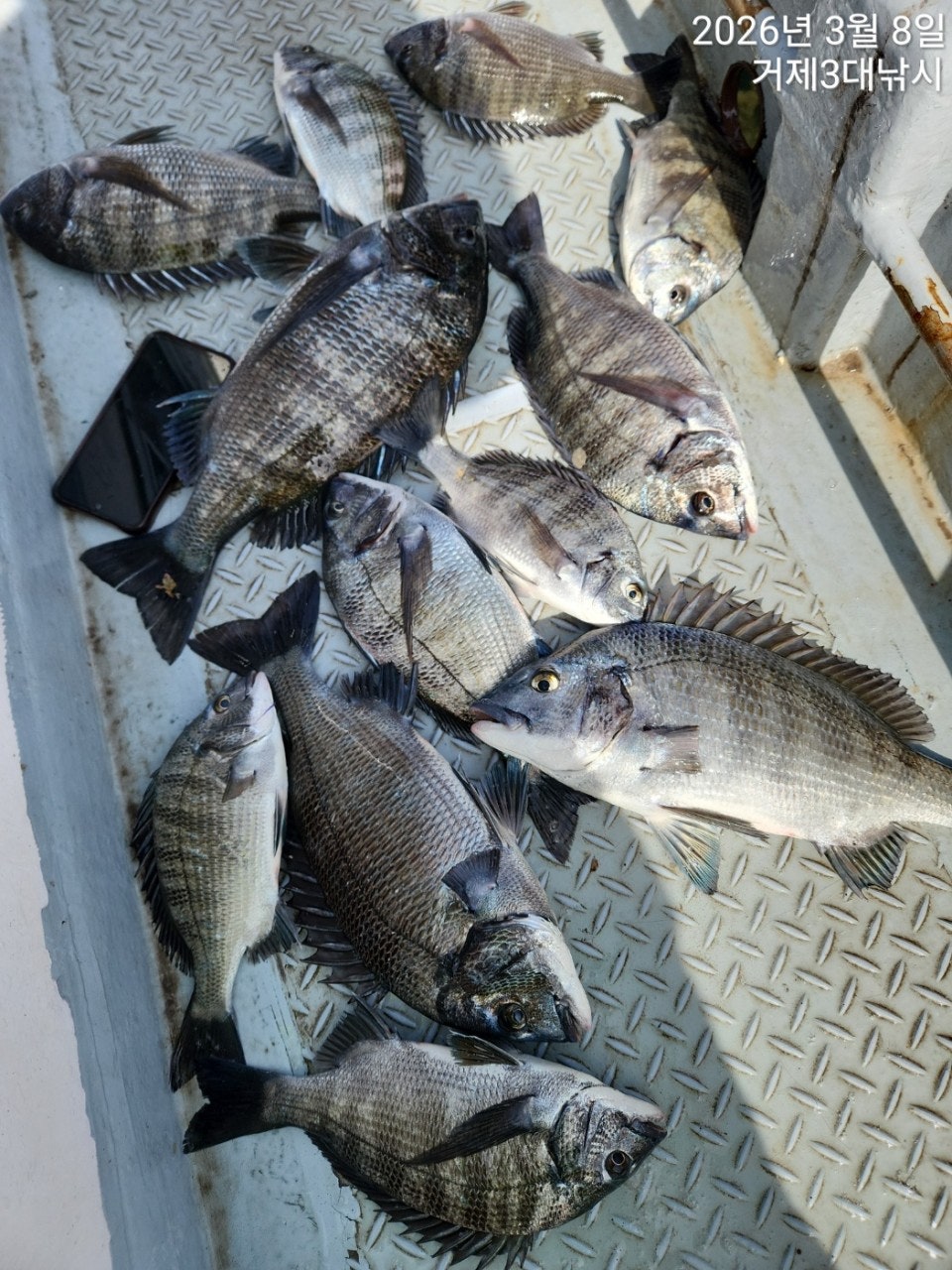 ����ڰ� �ø� �̹���