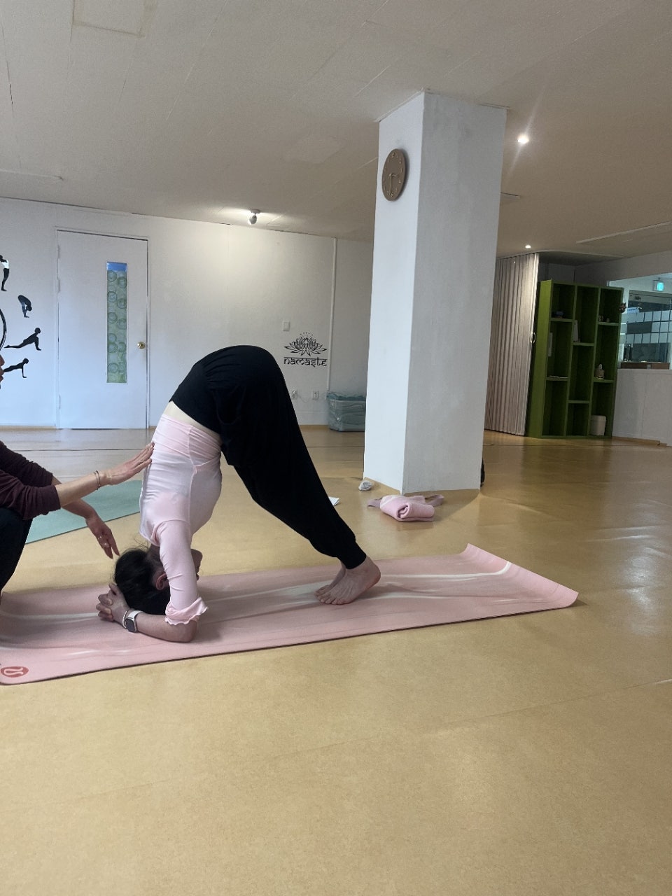 ����ڰ� �ø� �̹���