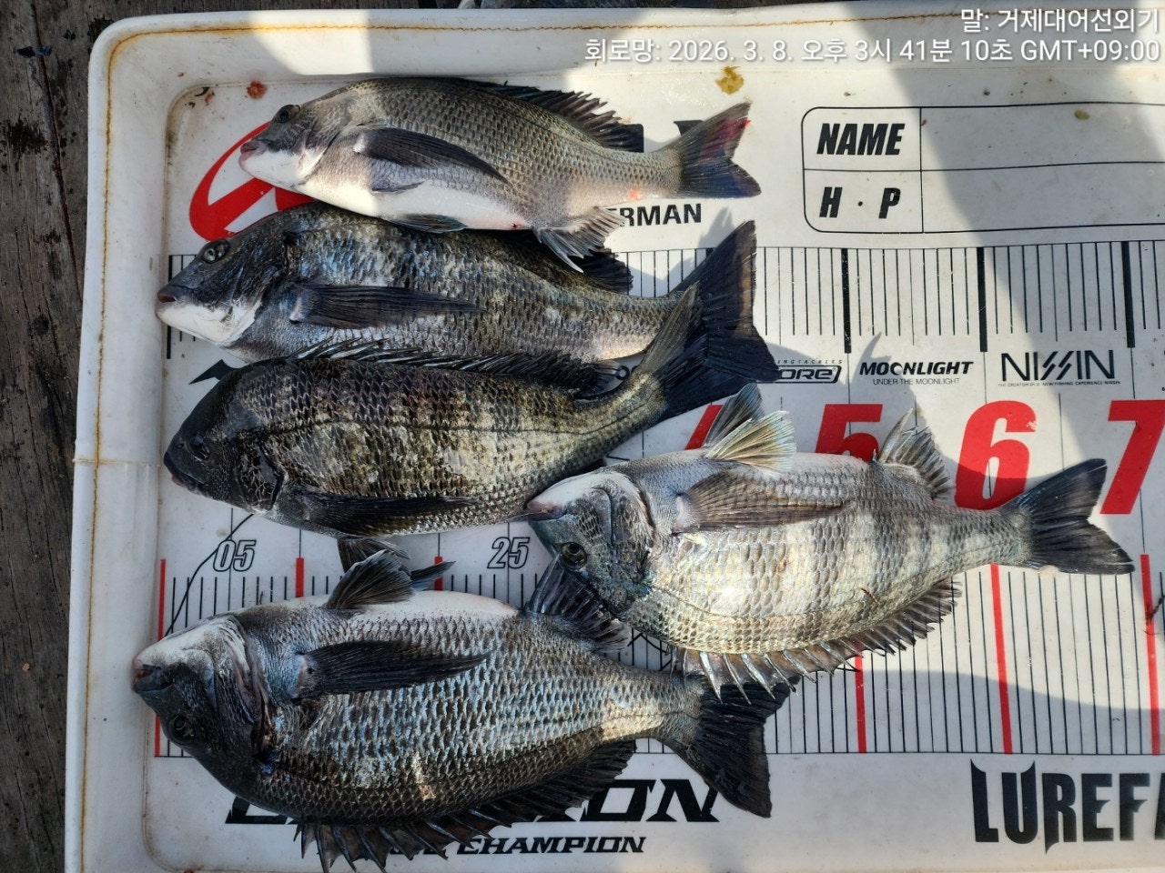 ����ڰ� �ø� �̹���