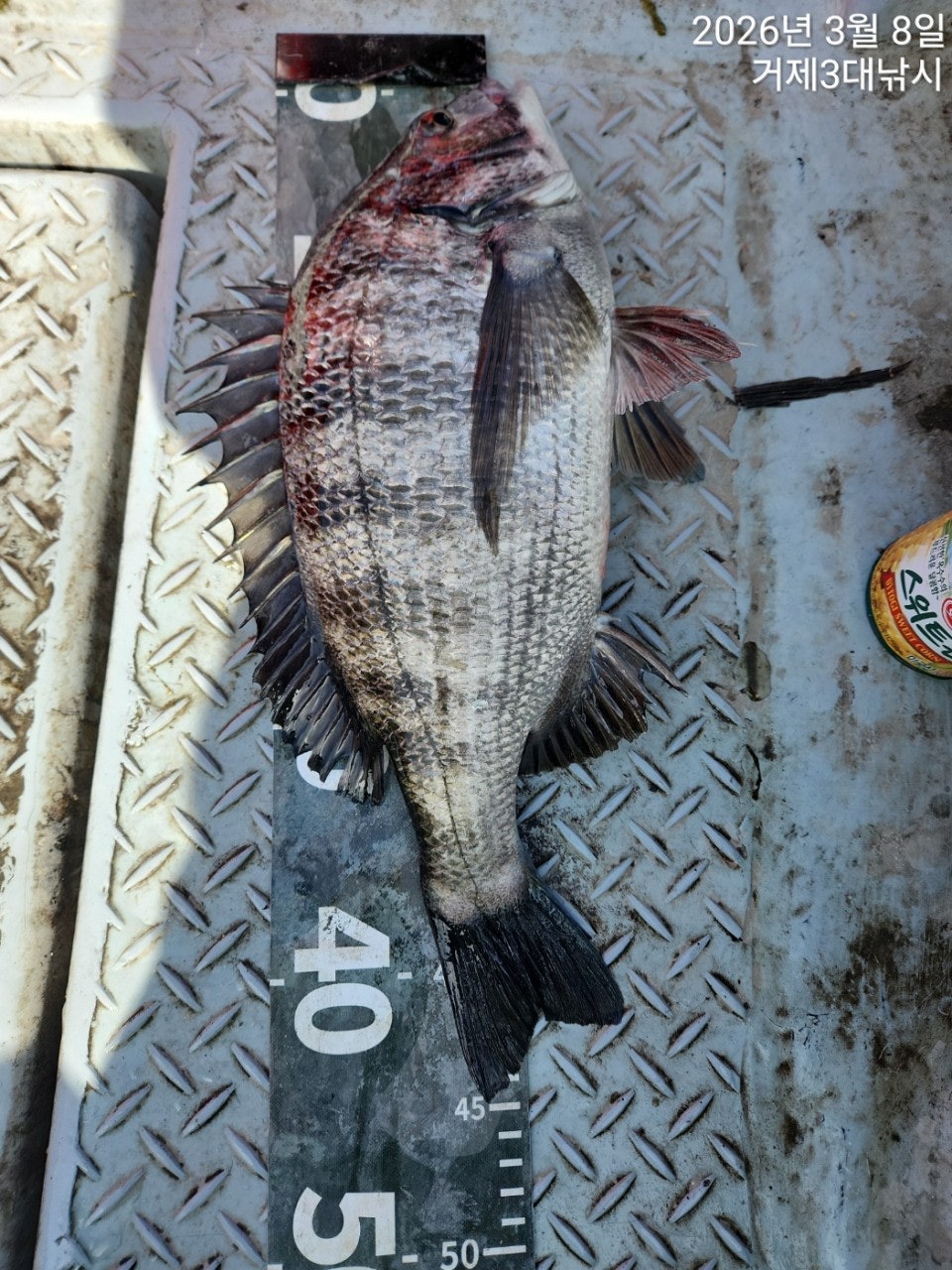 ����ڰ� �ø� �̹���