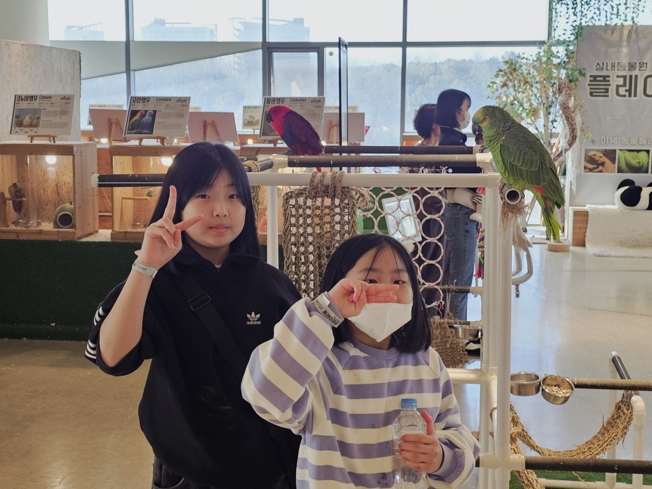 사용자가 올린 이미지