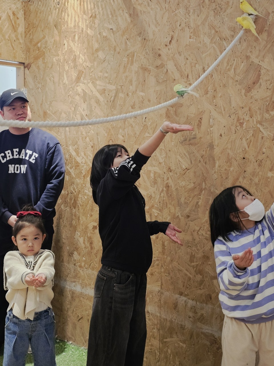 사용자가 올린 이미지