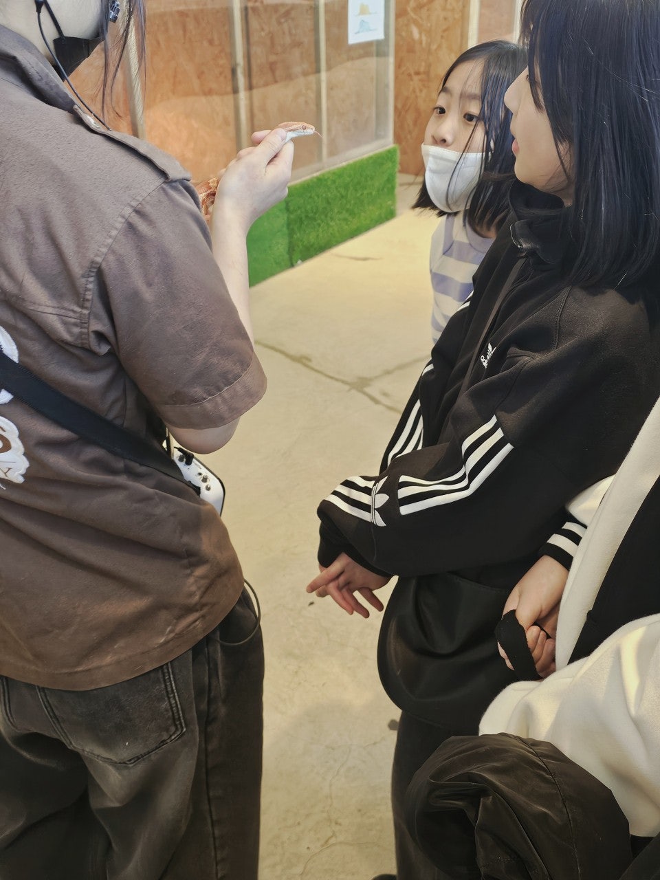 사용자가 올린 이미지