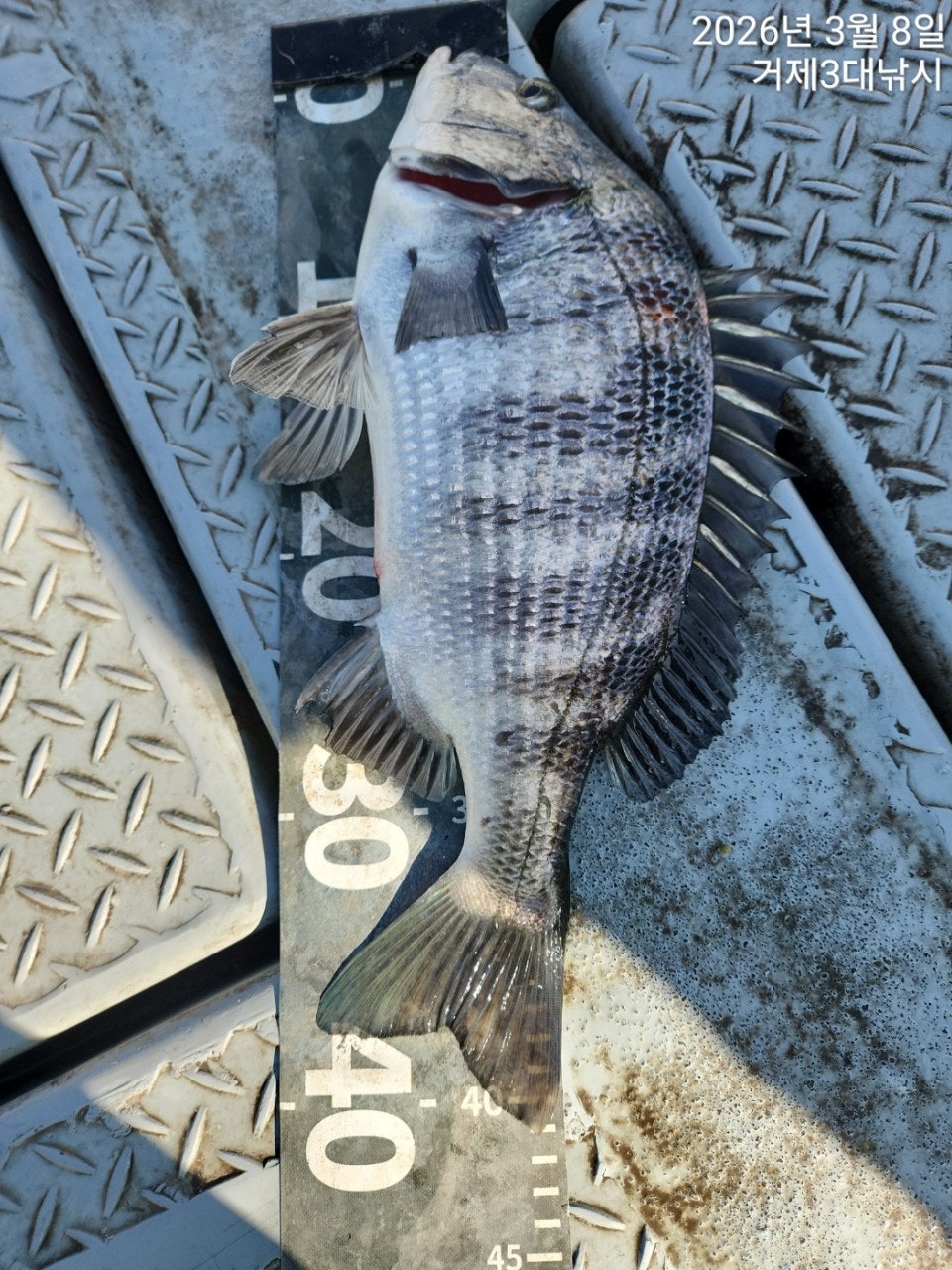 ����ڰ� �ø� �̹���