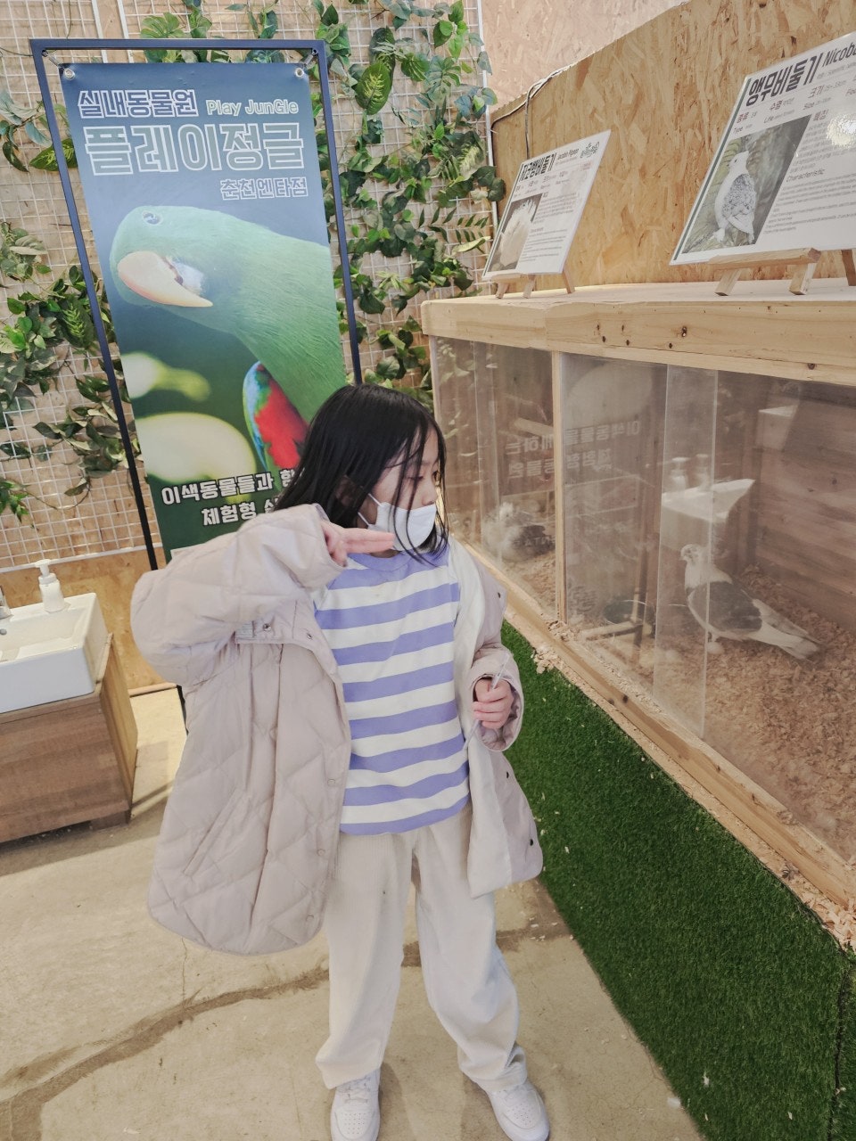 사용자가 올린 이미지