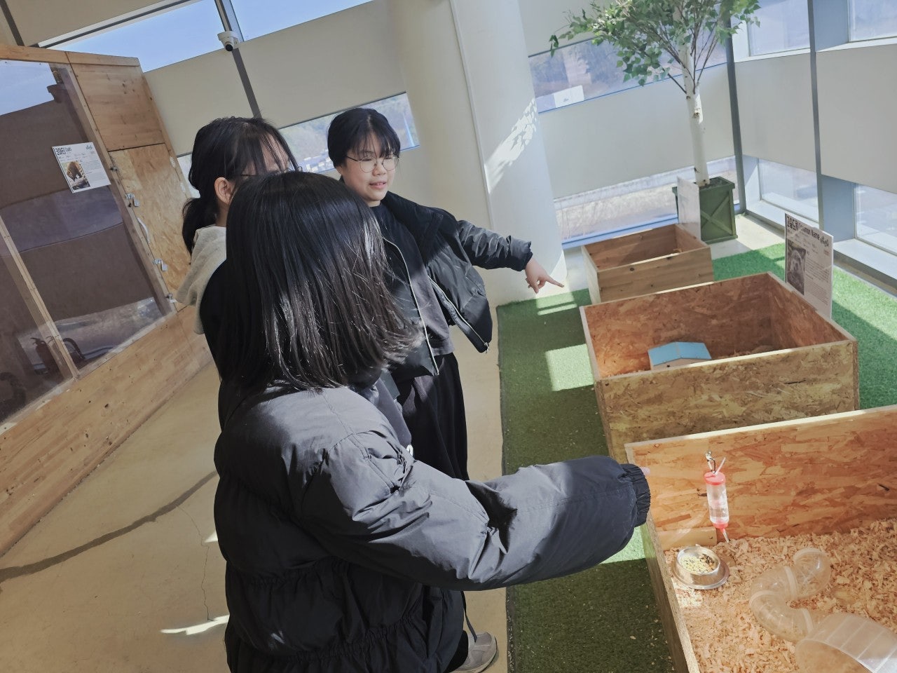 사용자가 올린 이미지