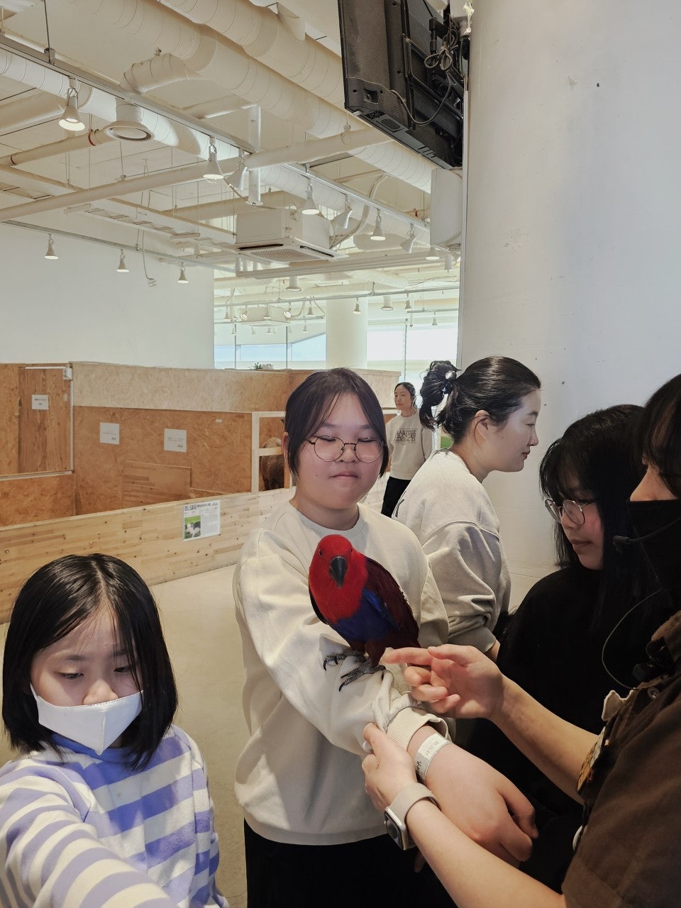 사용자가 올린 이미지