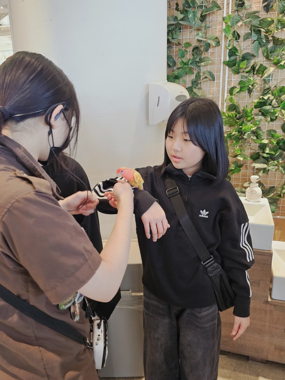 사용자가 올린 이미지