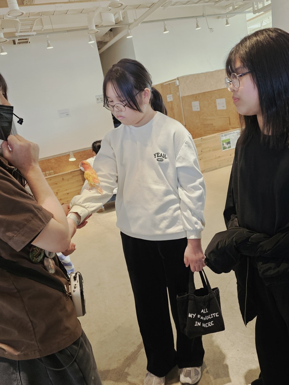 사용자가 올린 이미지