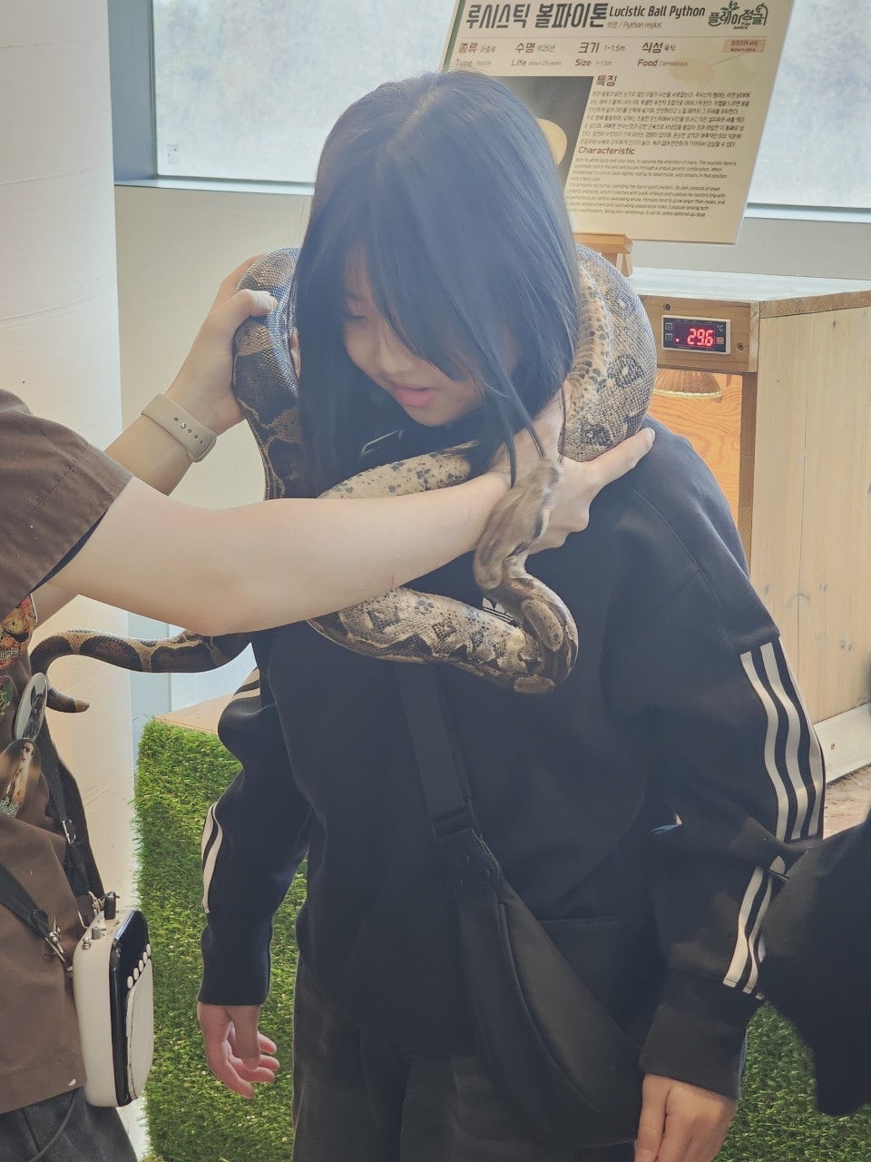 사용자가 올린 이미지