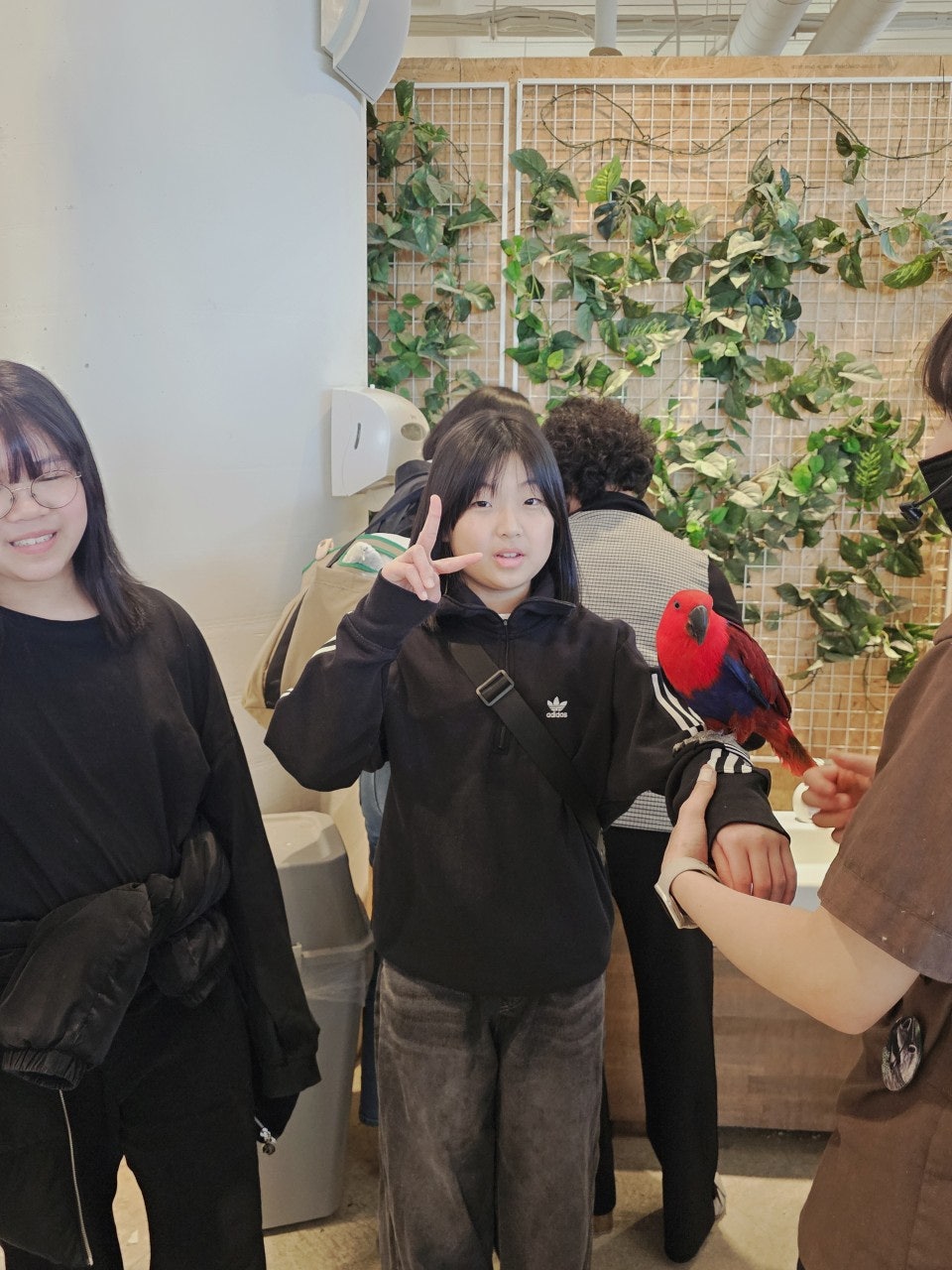 사용자가 올린 이미지