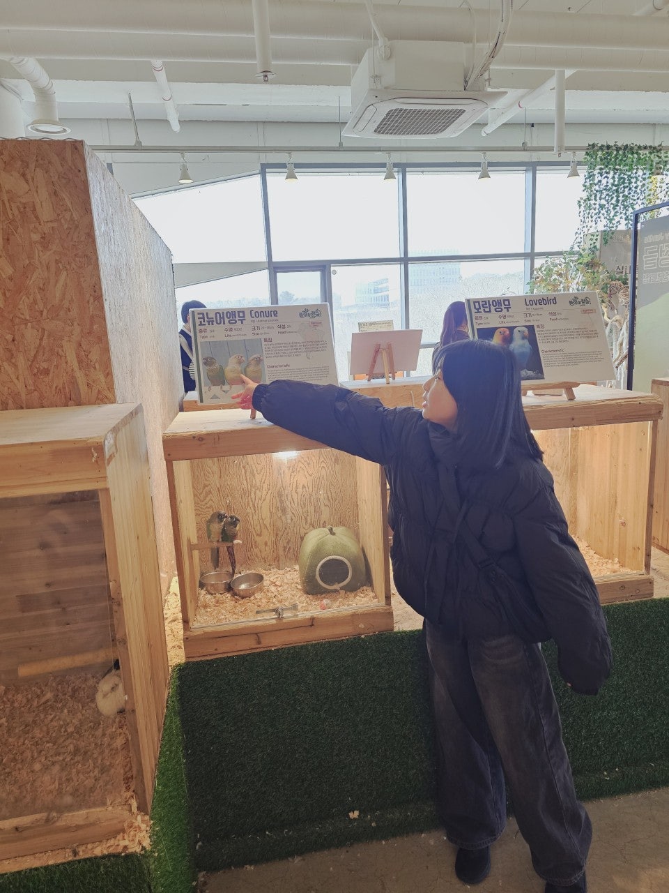 사용자가 올린 이미지