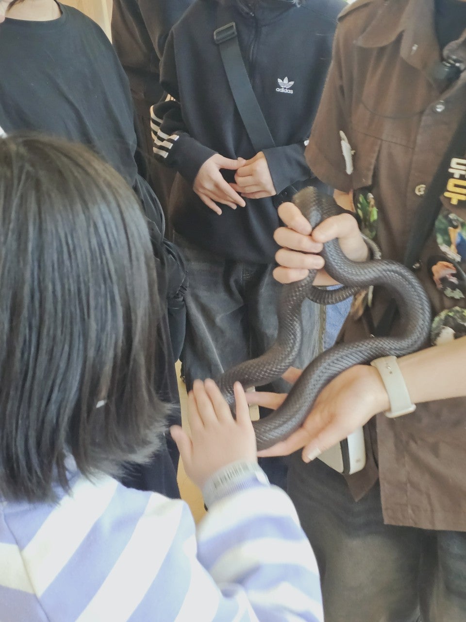 사용자가 올린 이미지