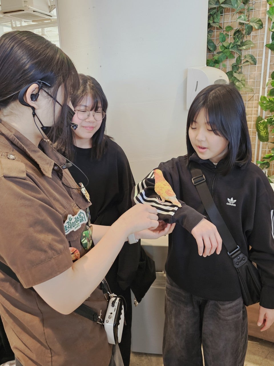 사용자가 올린 이미지