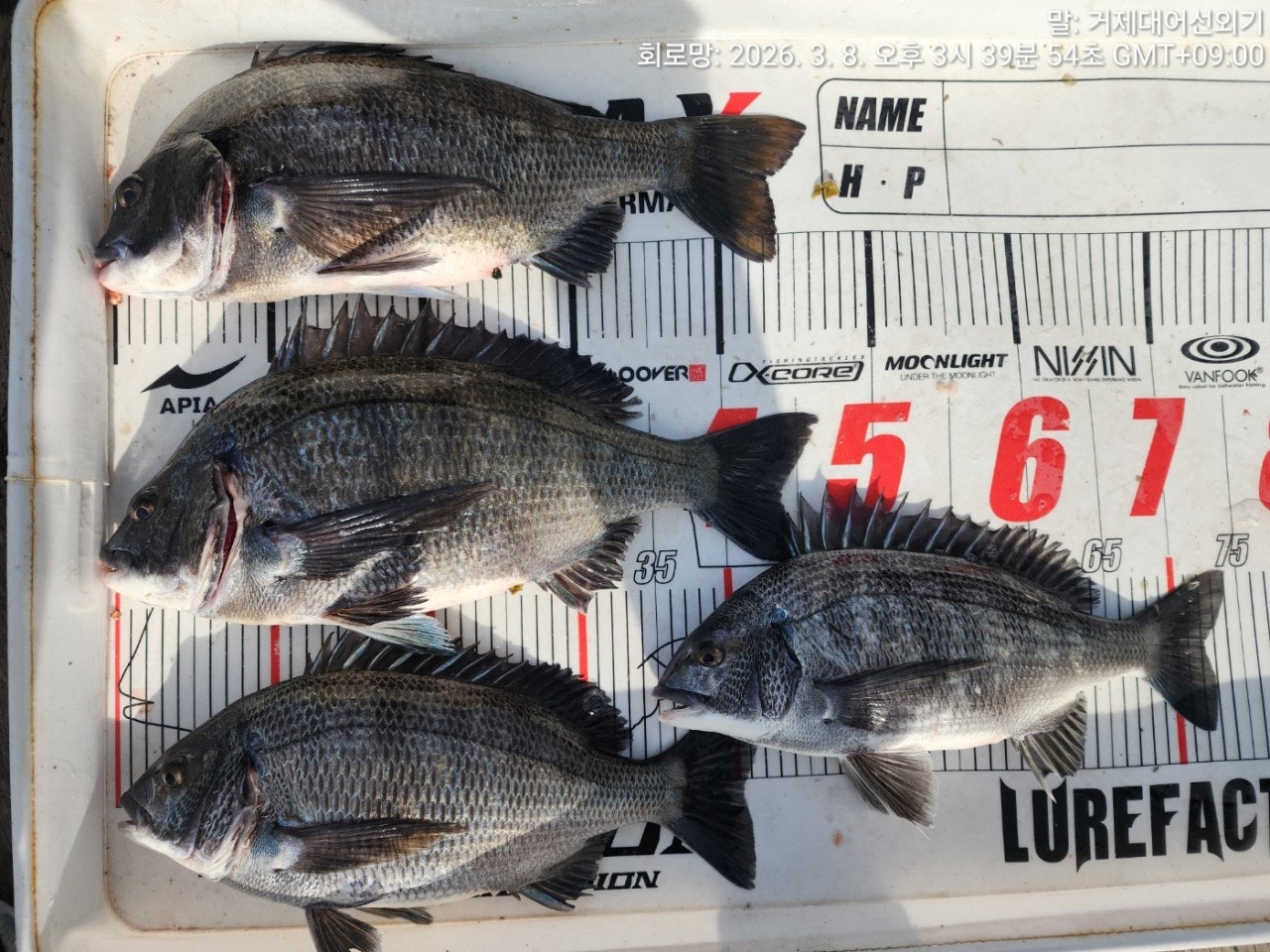 ����ڰ� �ø� �̹���