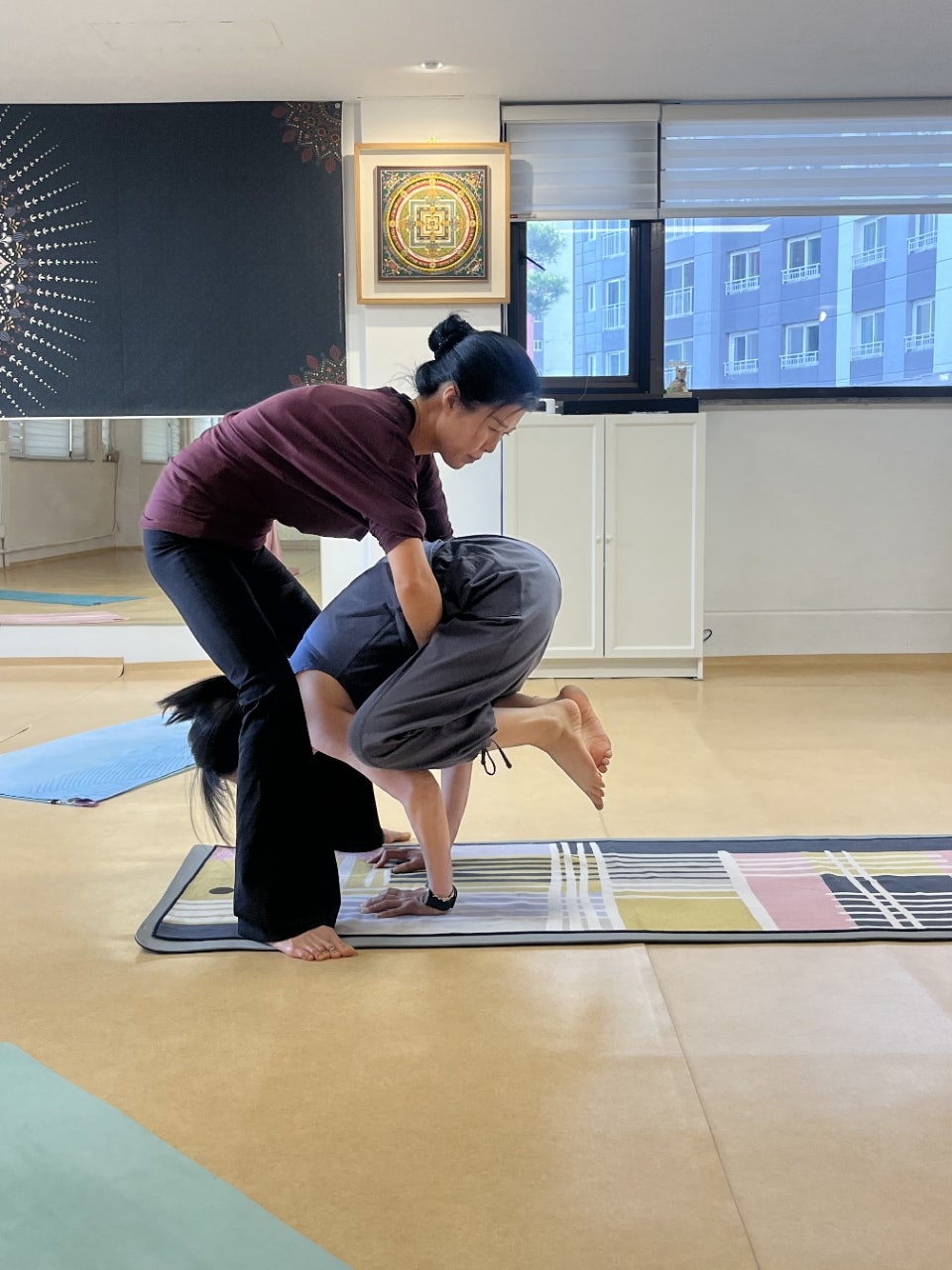 ����ڰ� �ø� �̹���