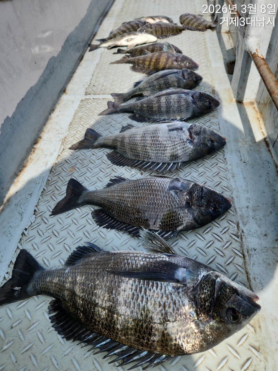 ����ڰ� �ø� �̹���