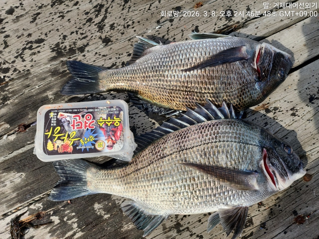 ����ڰ� �ø� �̹���