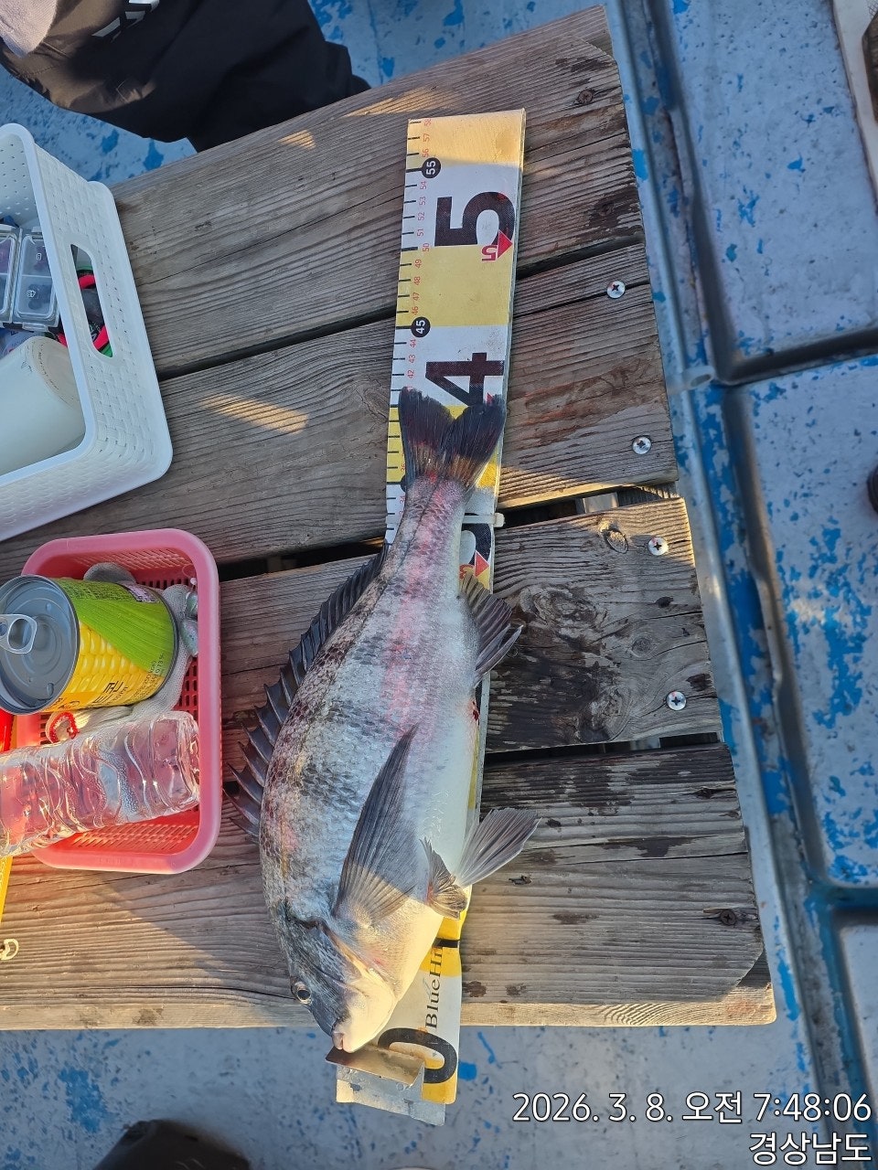 ����ڰ� �ø� �̹���