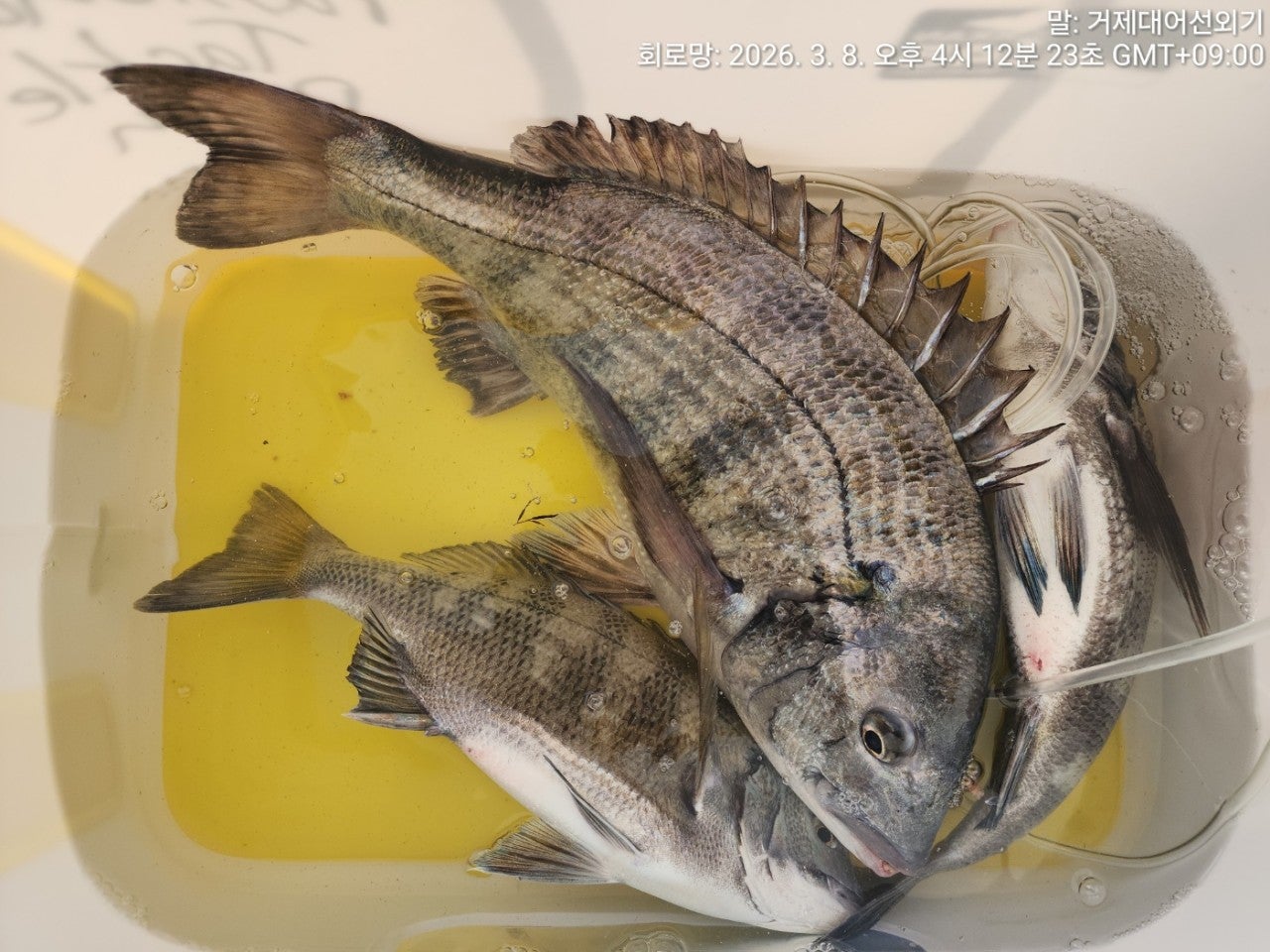 ����ڰ� �ø� �̹���