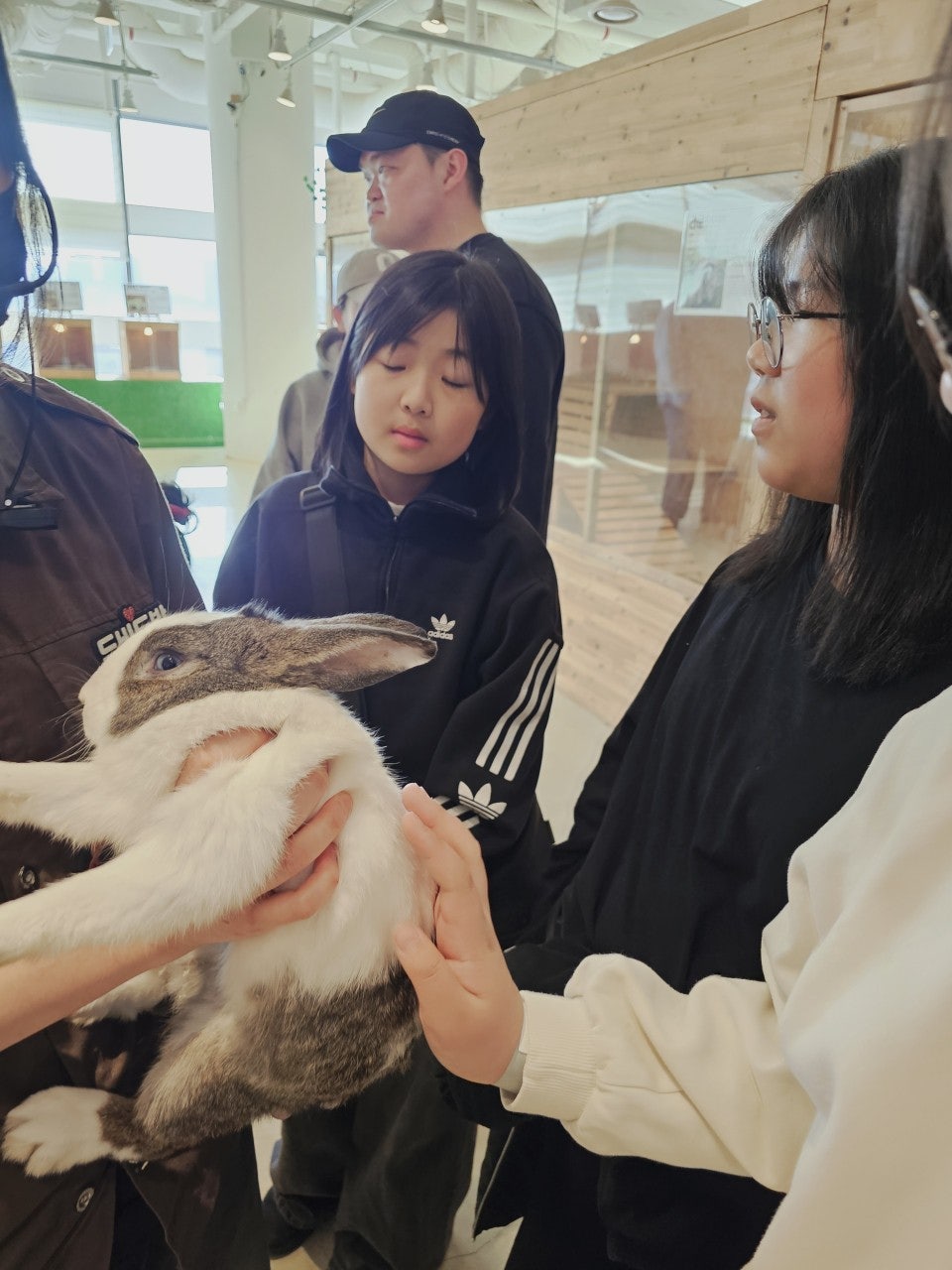 사용자가 올린 이미지