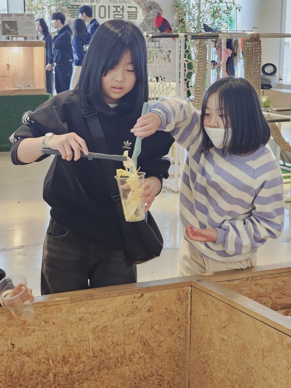 사용자가 올린 이미지