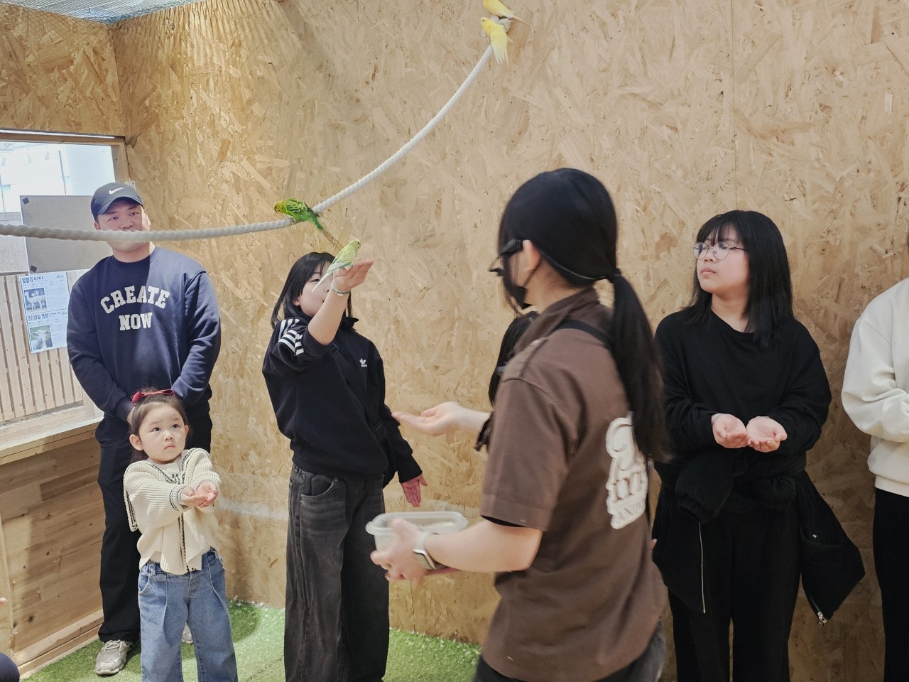 사용자가 올린 이미지