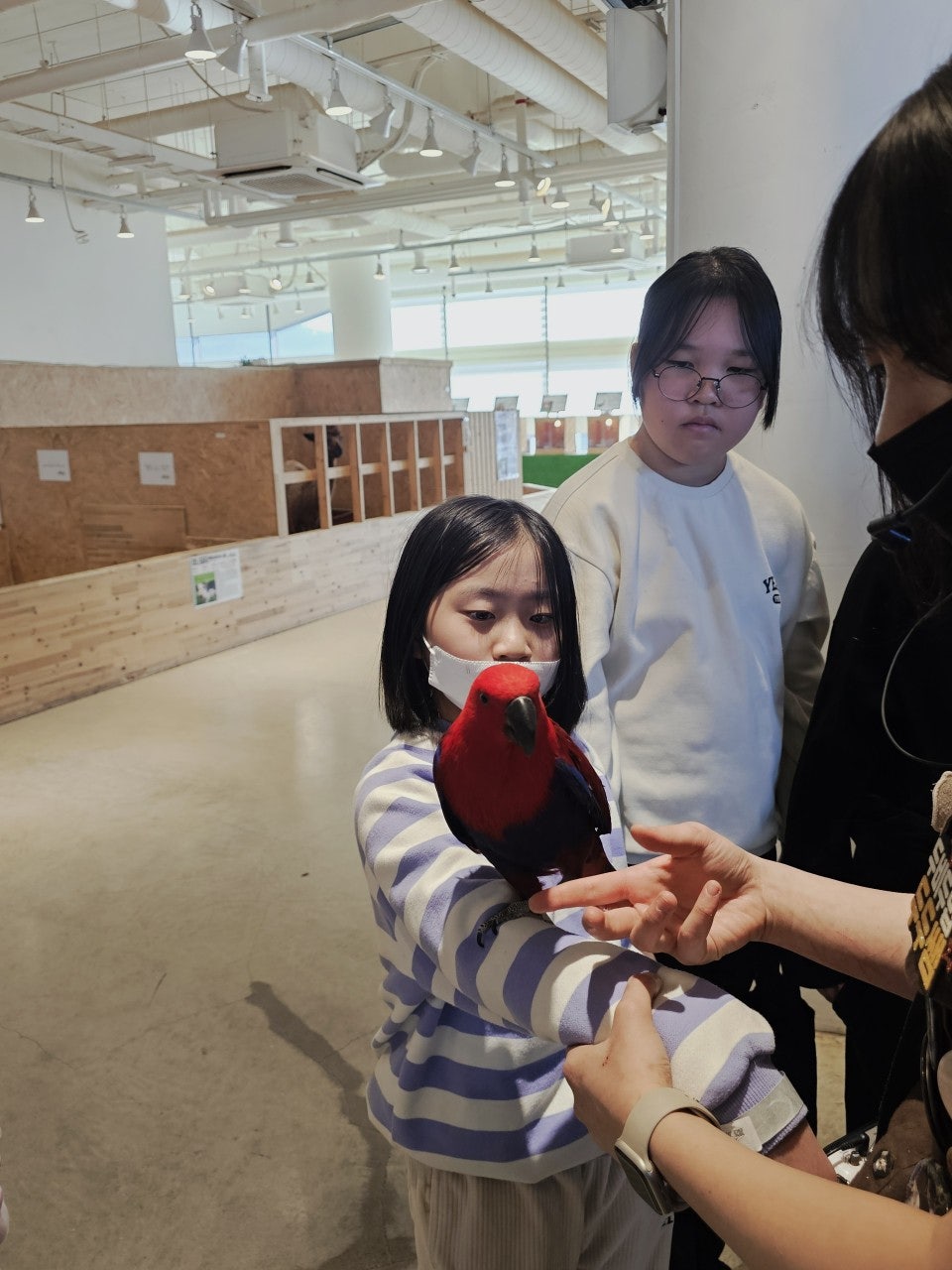 사용자가 올린 이미지