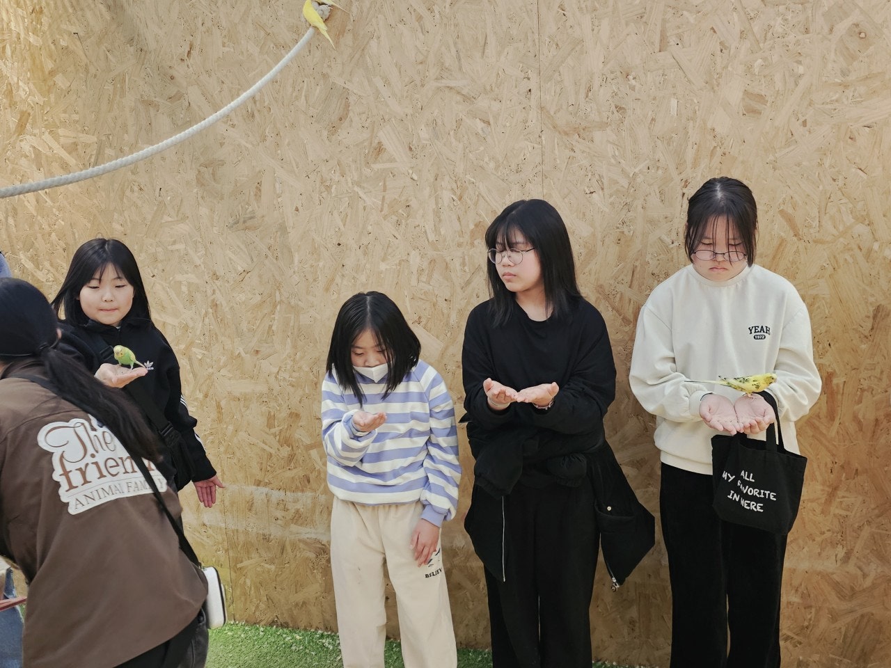 사용자가 올린 이미지