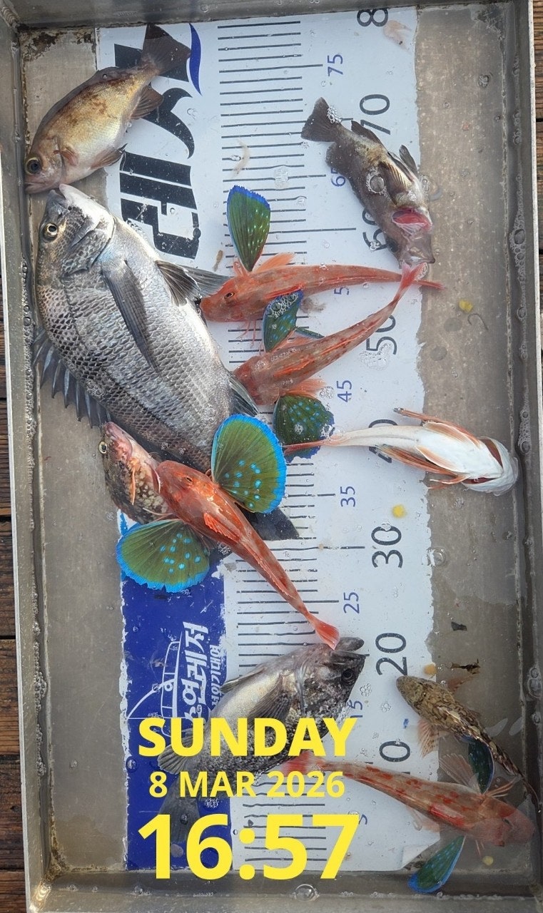 사용자가 올린 이미지