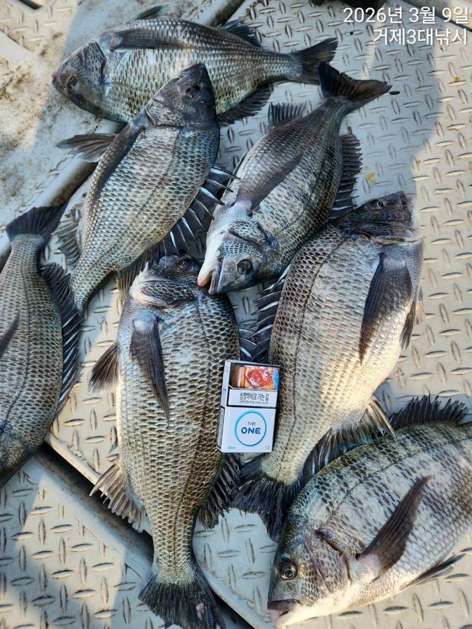 ����ڰ� �ø� �̹���