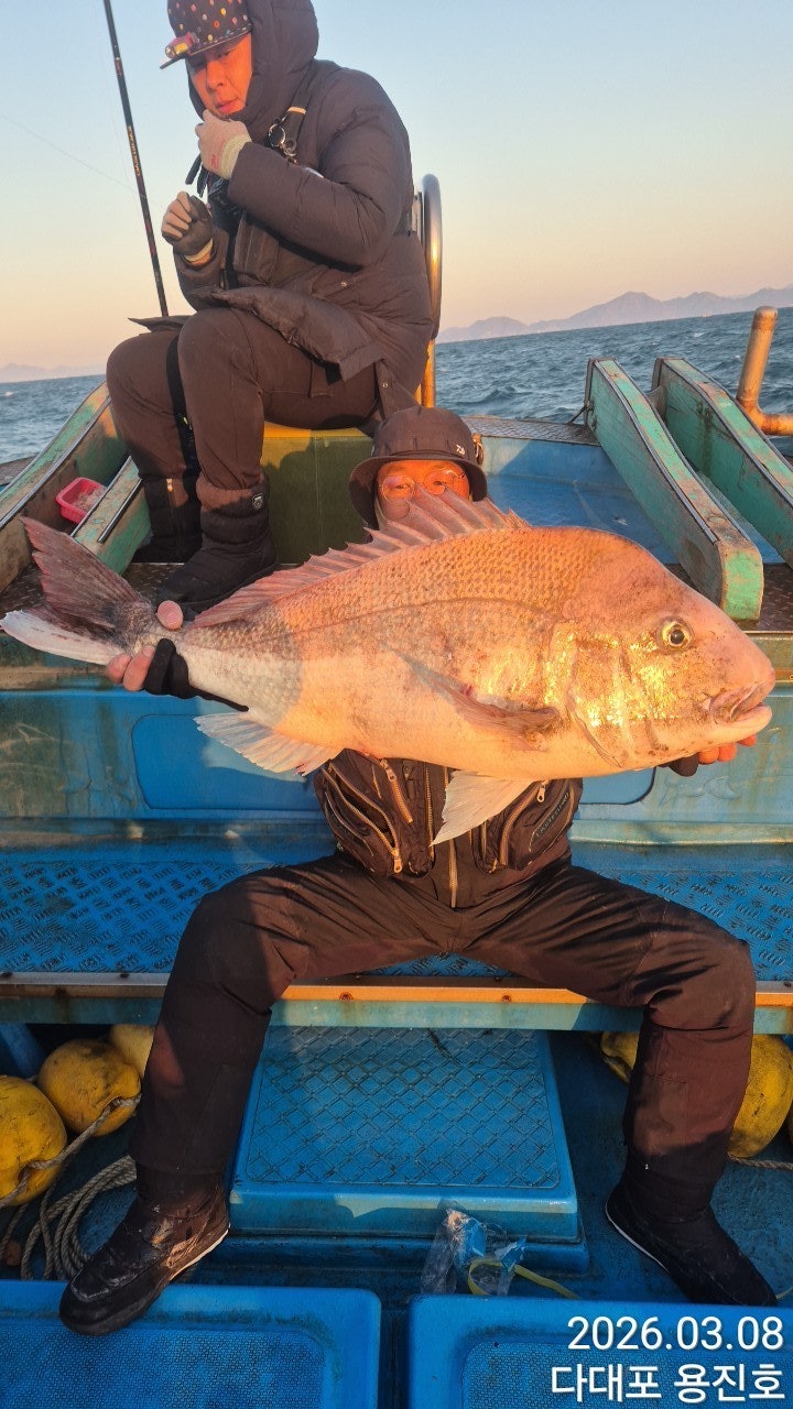 ����ڰ� �ø� �̹���