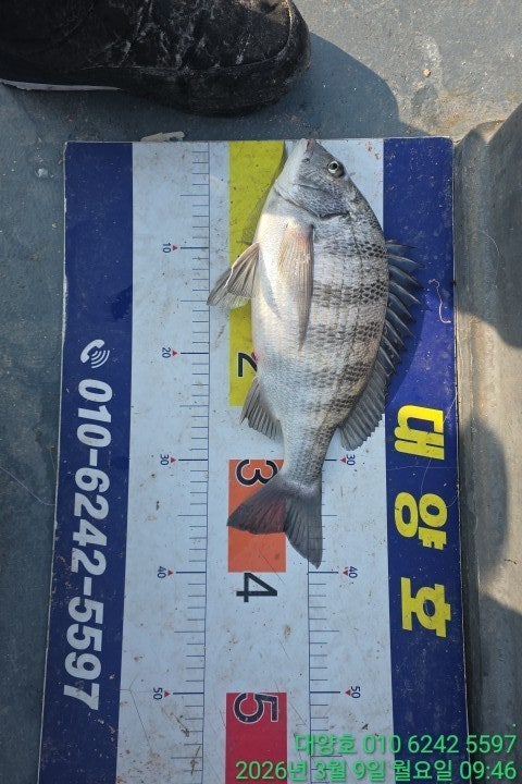 ����ڰ� �ø� �̹���