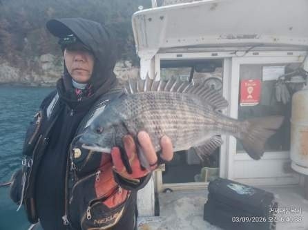 ����ڰ� �ø� �̹���