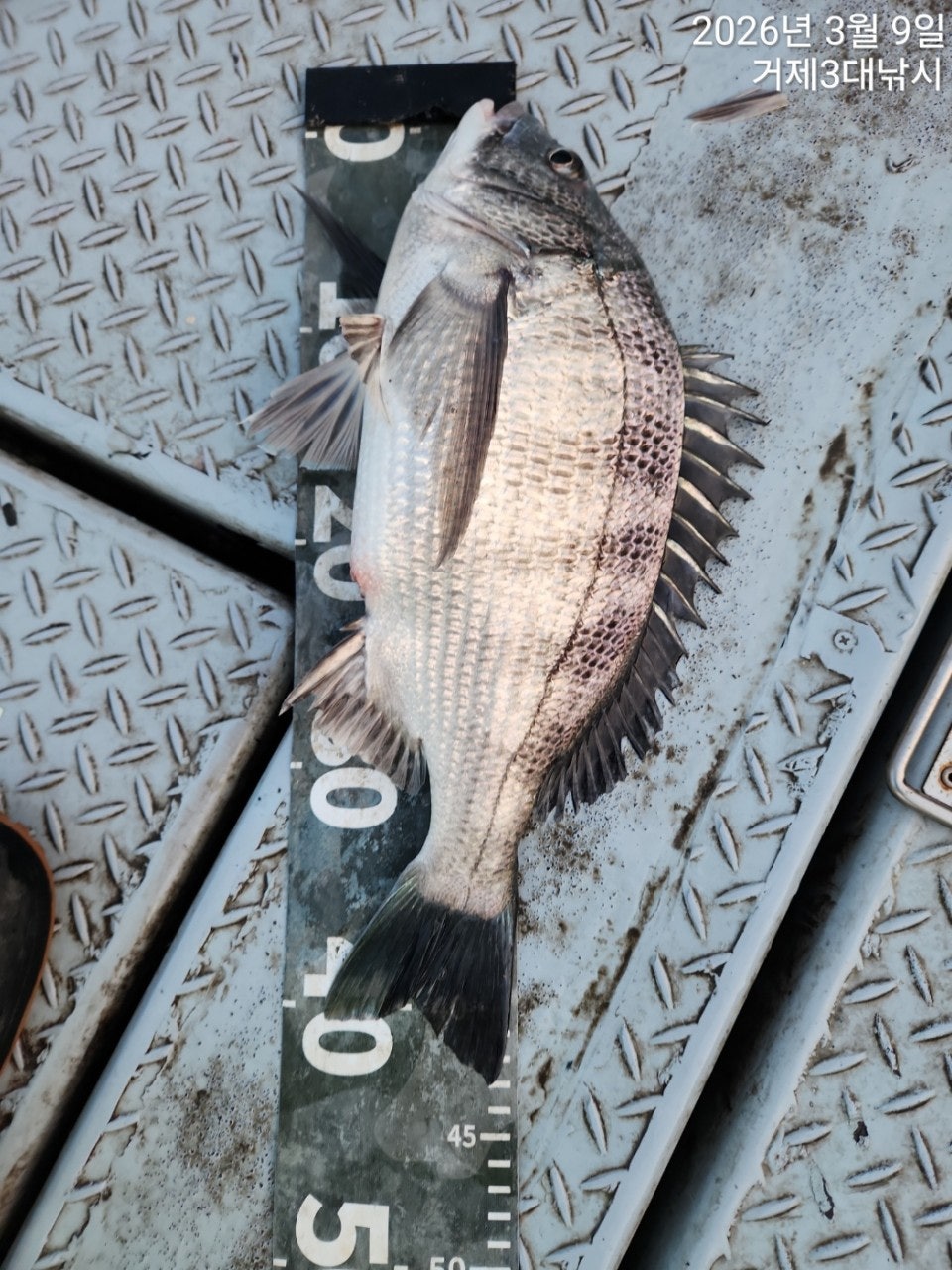 ����ڰ� �ø� �̹���