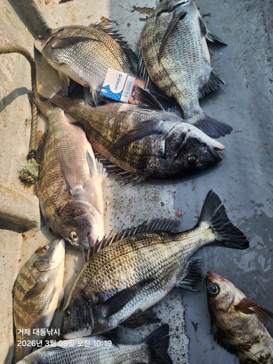 ����ڰ� �ø� �̹���