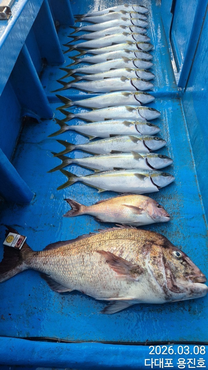 ����ڰ� �ø� �̹���